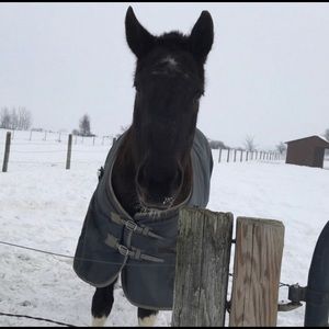 Meet your Posher, Katelyn